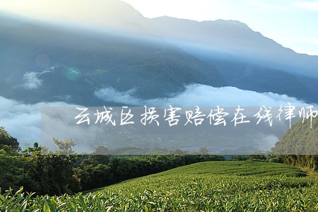 云城区损害赔偿在线律师 云城区损害赔偿在线律师