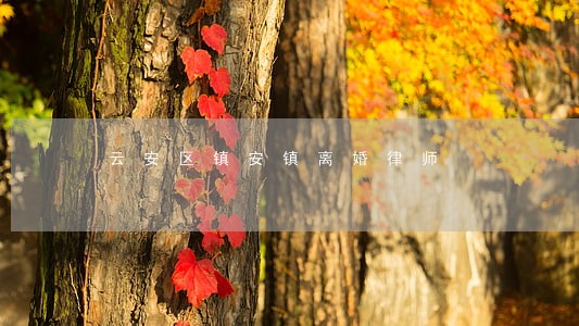 云安区镇安镇离婚律师