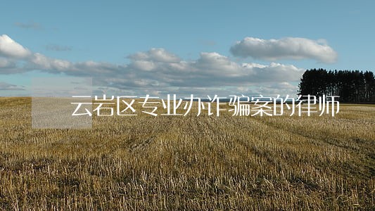 云岩区专业办诈骗案的律师 云岩区专业办诈骗案的律师