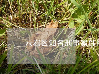 云岩区知名刑事案件律师费用 云岩区知名刑事案件律师费用