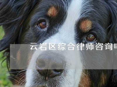 云岩区综合律师咨询电话 云岩区综合律师咨询电话