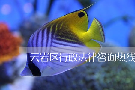 云岩区行政法律咨询热线