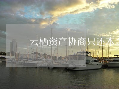 云栖资产协商只还本金