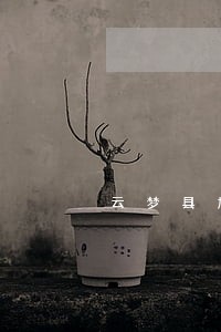 云梦县加盟维权在线律师 云梦县加盟维权在线律师