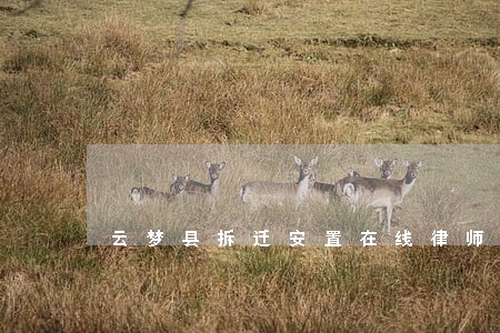 云梦县拆迁安置在线律师 云梦县拆迁安置在线律师