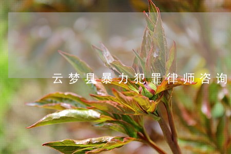 云梦县暴力犯罪律师咨询电话 云梦县暴力犯罪律师咨询电话