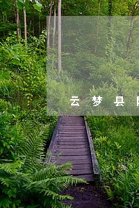 云梦县网络法律律师咨询电话 云梦县网络法律律师咨询电话