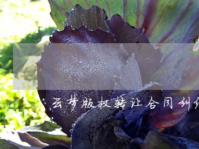 云梦版权转让合同纠纷律师 云梦版权转让合同纠纷律师
