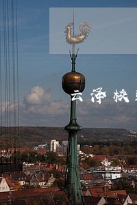 云泽校违法吗