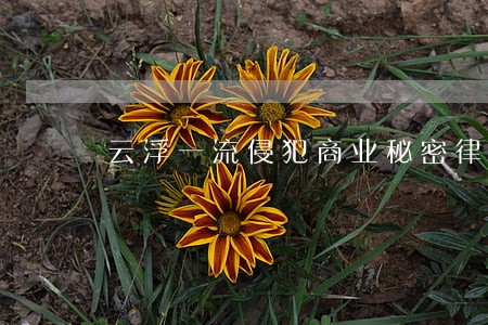 云浮一流侵犯商业秘密律师 云浮一流侵犯商业秘密律师