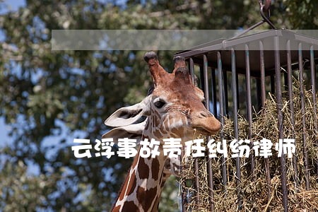 云浮事故责任纠纷律师 云浮事故责任纠纷律师