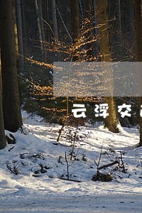 云浮交通事故律师费一般多少钱 云浮交通事故律师费一般多少钱