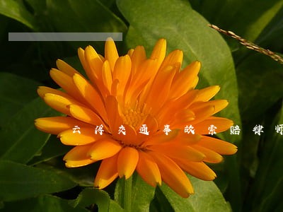 云浮交通事故索赔律师咨询电话 云浮交通事故索赔律师咨询电话