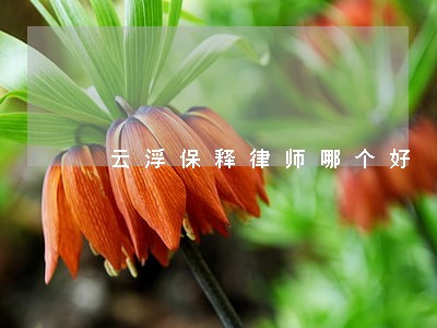 云浮保释律师哪个好 云浮保释律师哪个好