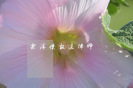 云浮债权法律师 云浮债权法律师
