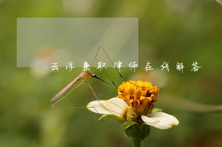 云浮兼职律师在线解答 云浮兼职律师在线解答