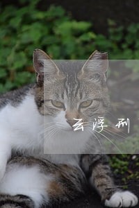 云浮刑事拘留律师在线咨询