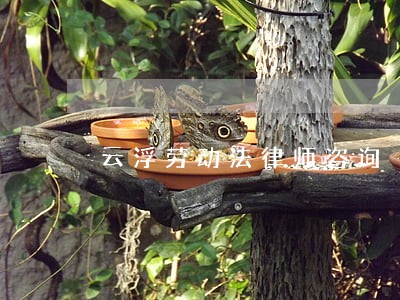 云浮劳动法律师咨询 云浮劳动法律师咨询