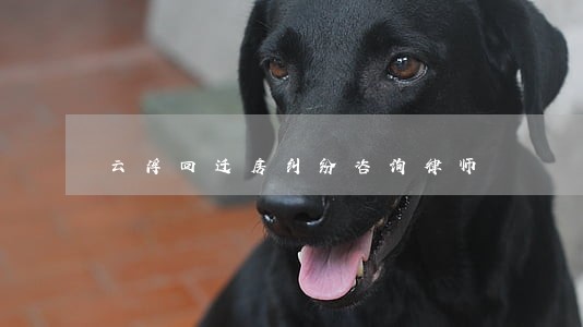云浮回迁房纠纷咨询律师 云浮回迁房纠纷咨询律师