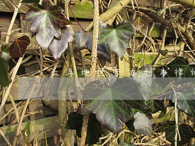 云浮地区专办刑事律师 云浮地区专办刑事律师