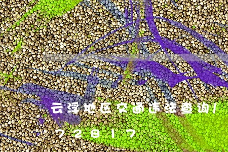 云浮地区交通违法查询/2023020372817 云浮地区交通违法查询/2023020372817
