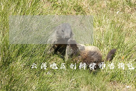 云浮地区刑辩律师咨询电话 云浮地区刑辩律师咨询电话