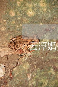 云浮婚姻家庭打官司律师 云浮婚姻家庭打官司律师
