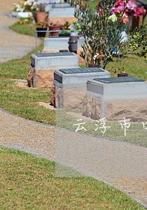 云浮市口碑好的刑事官司律师