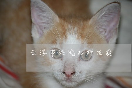云浮市法院扣押拍卖 云浮市法院扣押拍卖