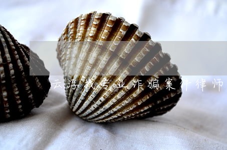 云浮找专业诈骗案件律师 云浮找专业诈骗案件律师