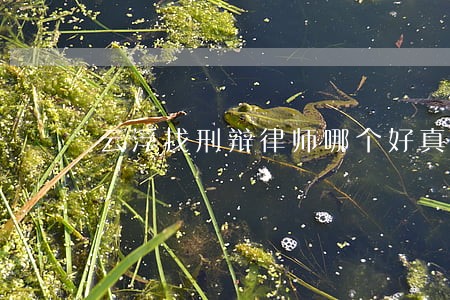 云浮找刑辩律师哪个好真诚服务 云浮找刑辩律师哪个好真诚服务