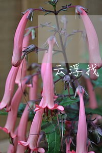 云浮找看守所会见律师咨询 云浮找看守所会见律师咨询