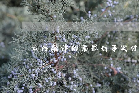 云浮敲诈勒索罪刑事案件律师 云浮敲诈勒索罪刑事案件律师