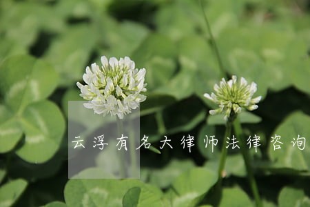 云浮有名大律师法律咨询 云浮有名大律师法律咨询