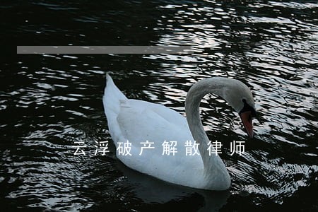 云浮破产解散律师 云浮破产解散律师