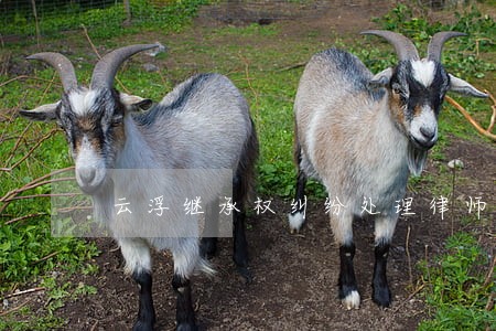 云浮继承权纠纷处理律师 云浮继承权纠纷处理律师