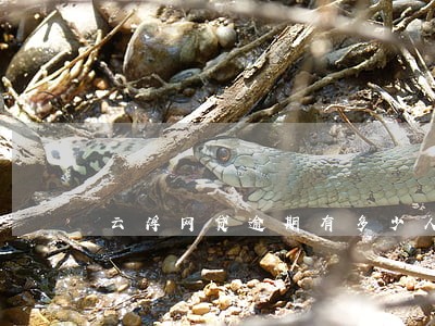 云浮网贷逾期有多少人 云浮网贷逾期有多少人