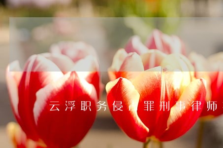 云浮职务侵占罪刑事律师推荐 云浮职务侵占罪刑事律师推荐