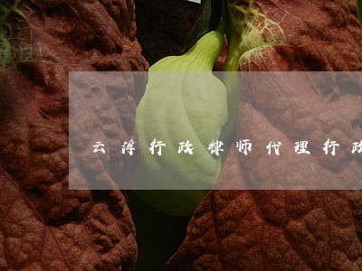 云浮行政律师代理行政诉讼案件