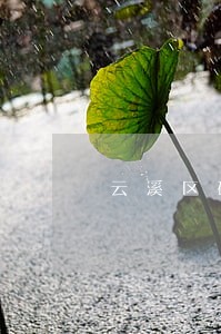 云溪区破产清算律师