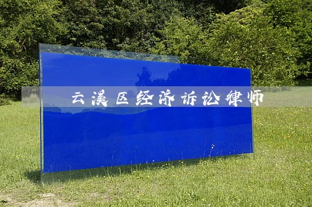 云溪区经济诉讼律师
