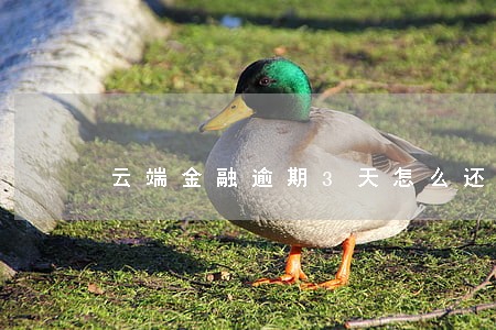 云端金融逾期3天怎么还款 云端金融逾期3天怎么还款