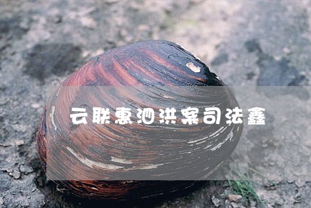 云联惠泗洪案司法鑫 云联惠泗洪案司法鑫