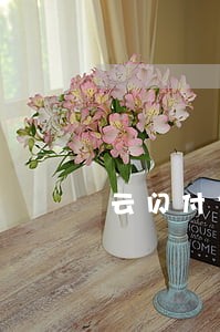 云闪付信用卡还款显示逾期 云闪付信用卡还款显示逾期