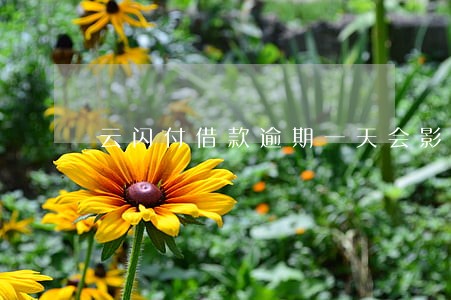 云闪付借款逾期一天会影响信用吗 云闪付借款逾期一天会影响信用吗