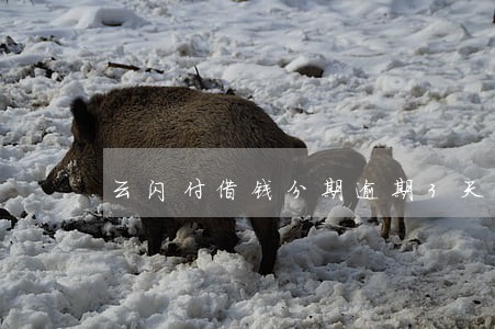 云闪付借钱分期逾期3天 云闪付借钱分期逾期3天