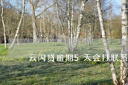 云闪贷逾期5天会打联系人吗 云闪贷逾期5天会打联系人吗