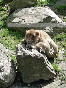 云阳劳动法律师哪家好值得托付