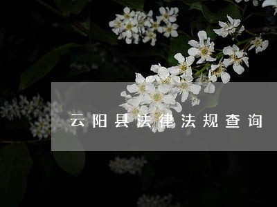 云阳县法律法规查询