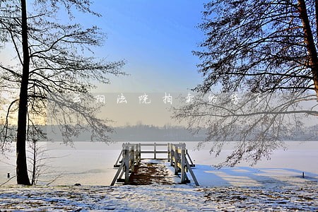 云阳法院拍卖的房子 云阳法院拍卖的房子